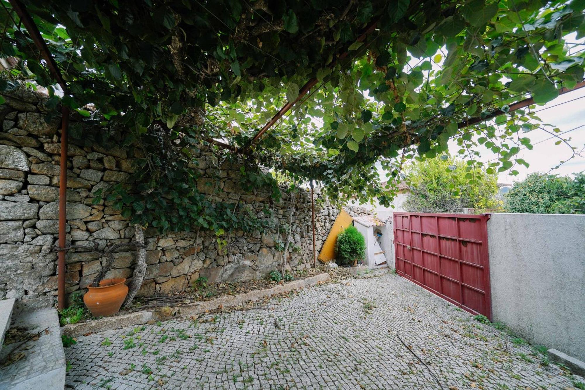 Martinho'S House Διαμέρισμα Alijó Εξωτερικό φωτογραφία